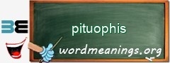 WordMeaning blackboard for pituophis